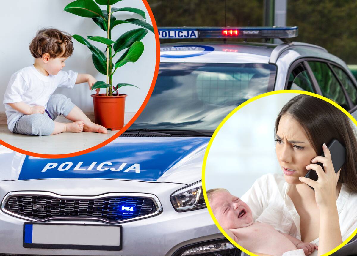 dziecko zjadło trującą roślinę