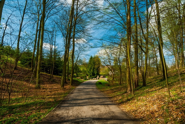 Leśny Park Kultury i Wypoczynku w Bydgoszczy, Myślęcinek, Byd