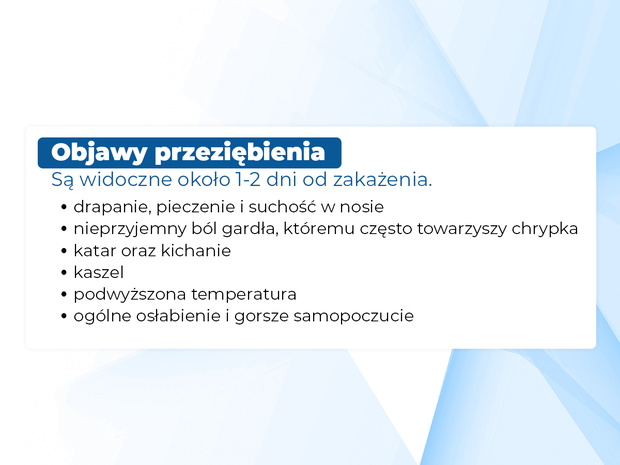 Znf1bI-116543-dd3a7a0