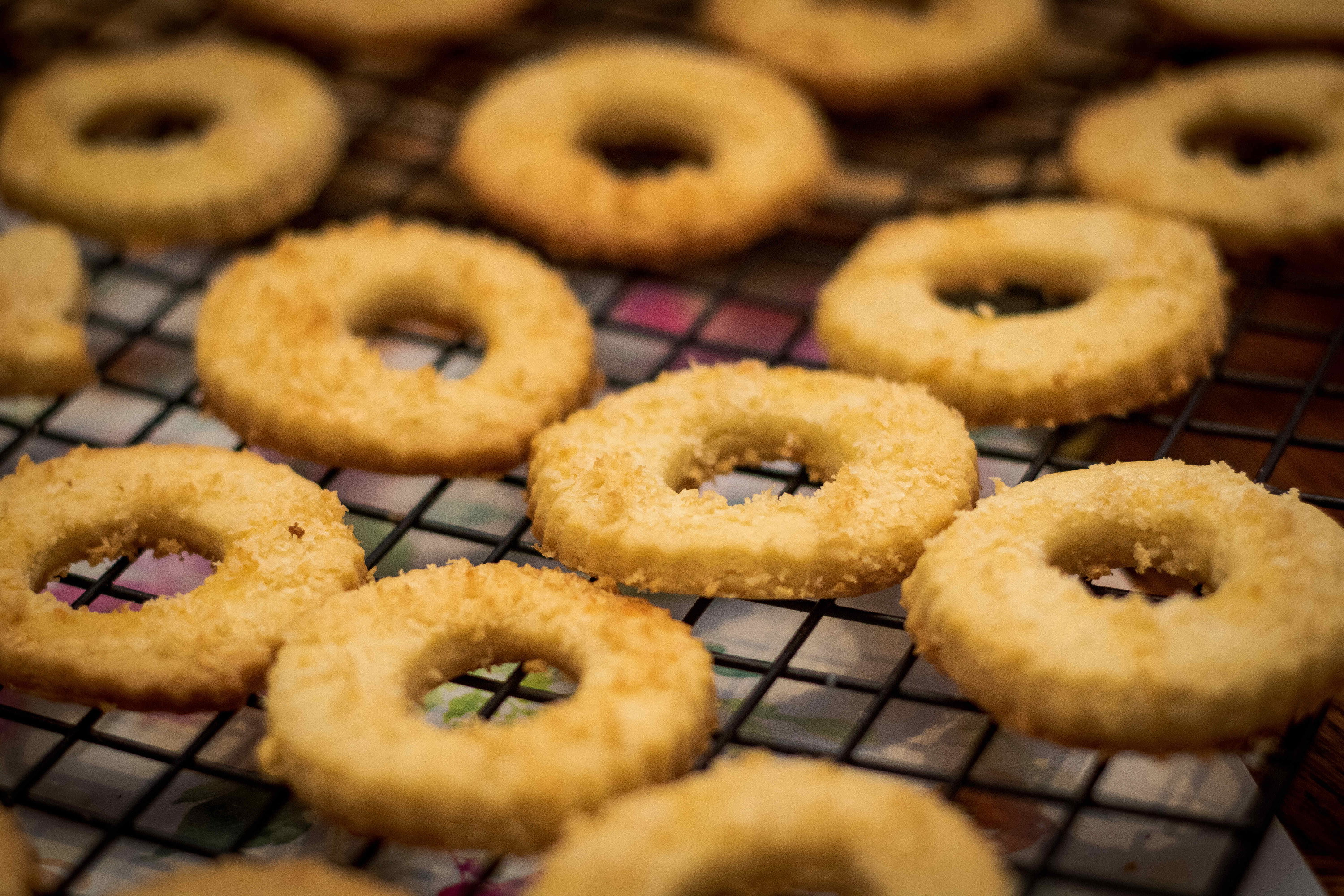 AdobeStock_477857020