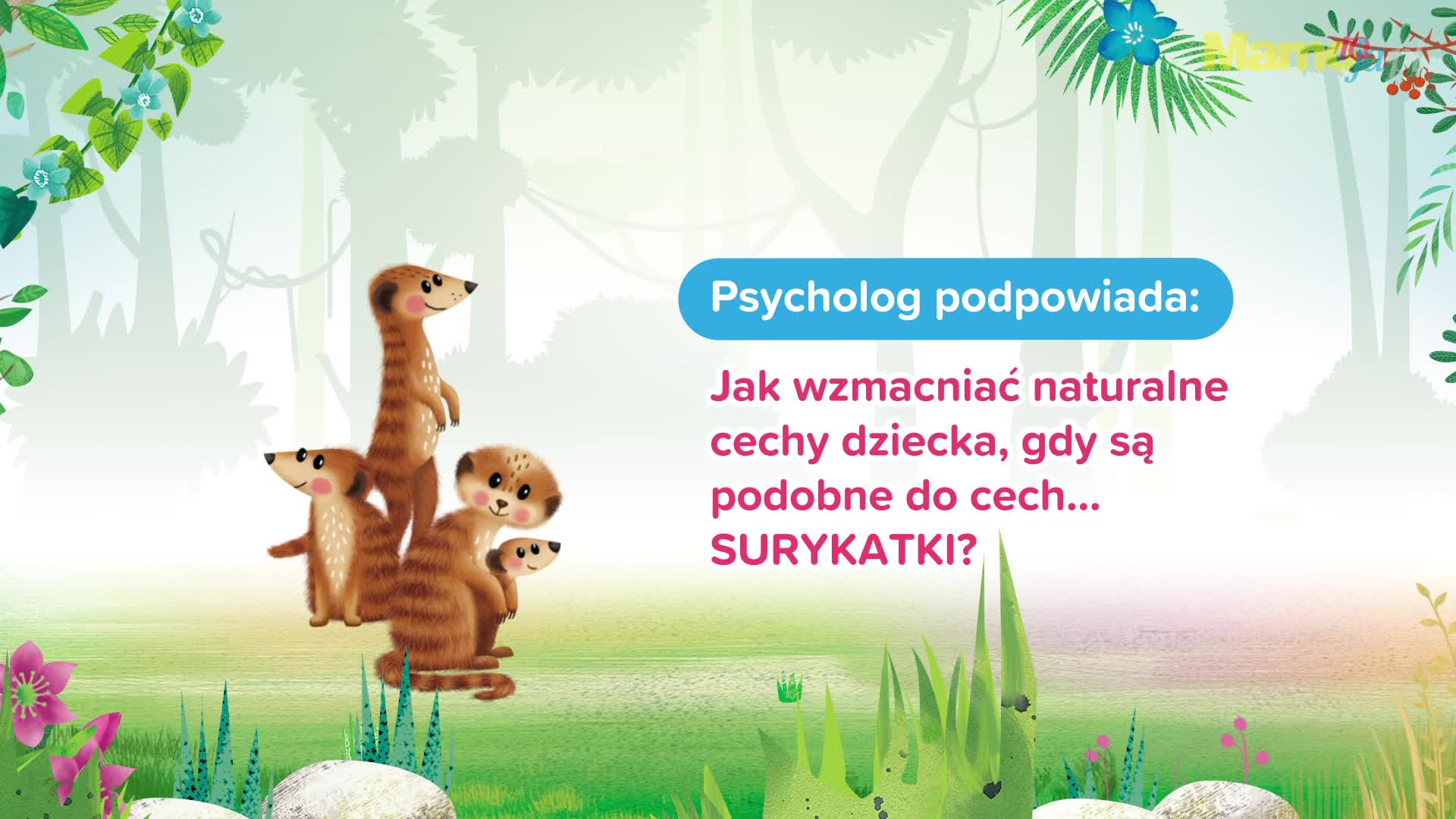 Twój maluch jest jak mała… SURYKATKA? Tak możesz wspierać jego mocne strony!