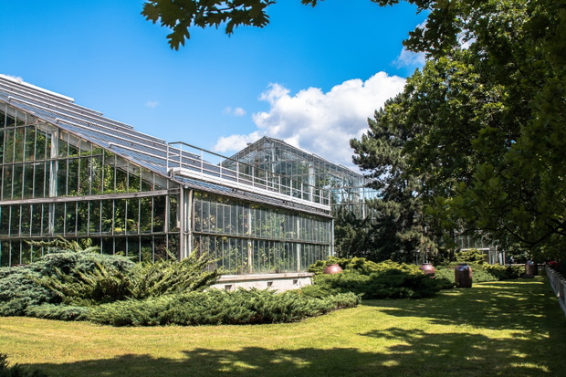 Poznań Park Wilsona, Palmiarnia