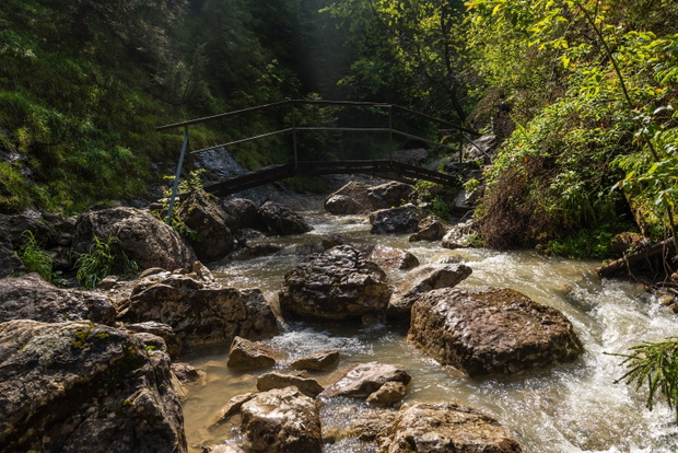 Wąwóz Homole - Pieniny