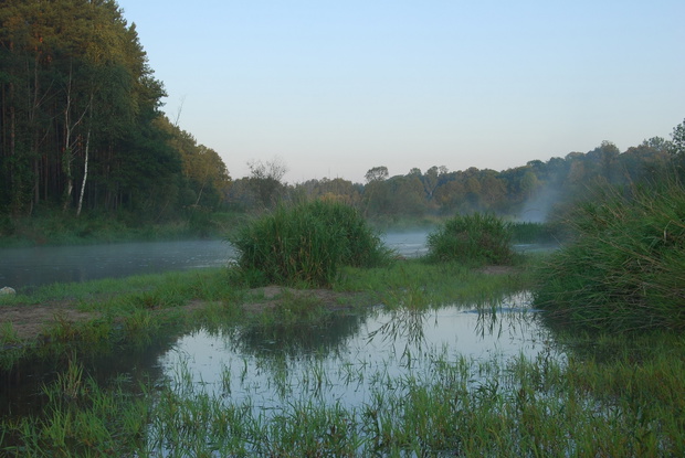 Spalski Park Krajobrazowy, Rzeka Pilica.