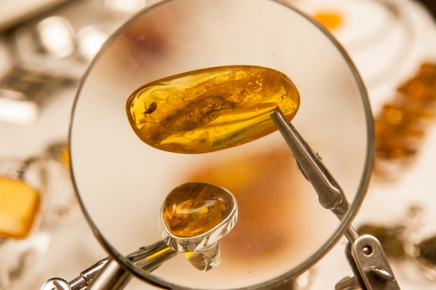 Large piece of amber with insect fossil inside
