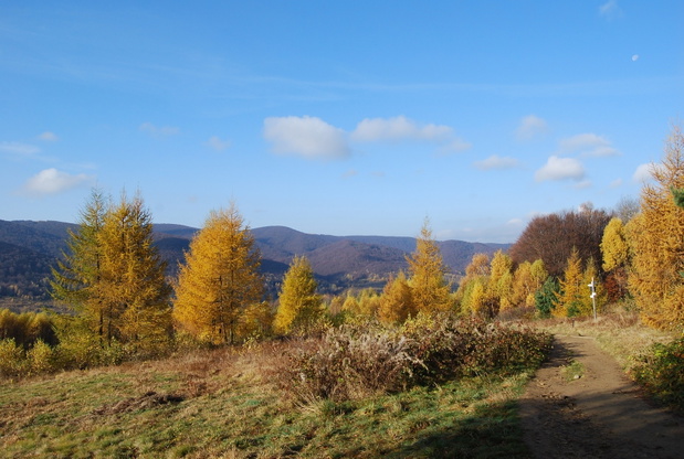 Bieszczadzki Park Narodowy.