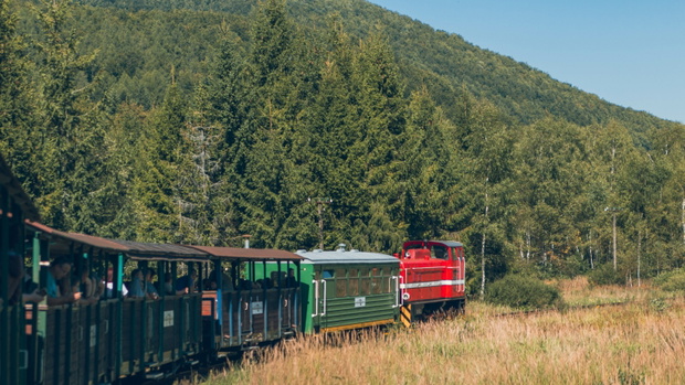 Bieszczady Forest Railway - a tourist attraction