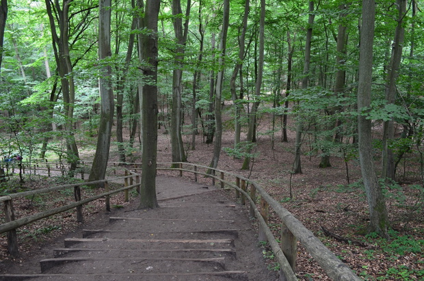 Woliński Park Narodowy/Wolinski Park Narodowy, West Pomerania,