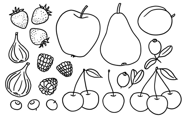Set of hand-drawn local fruits and berries