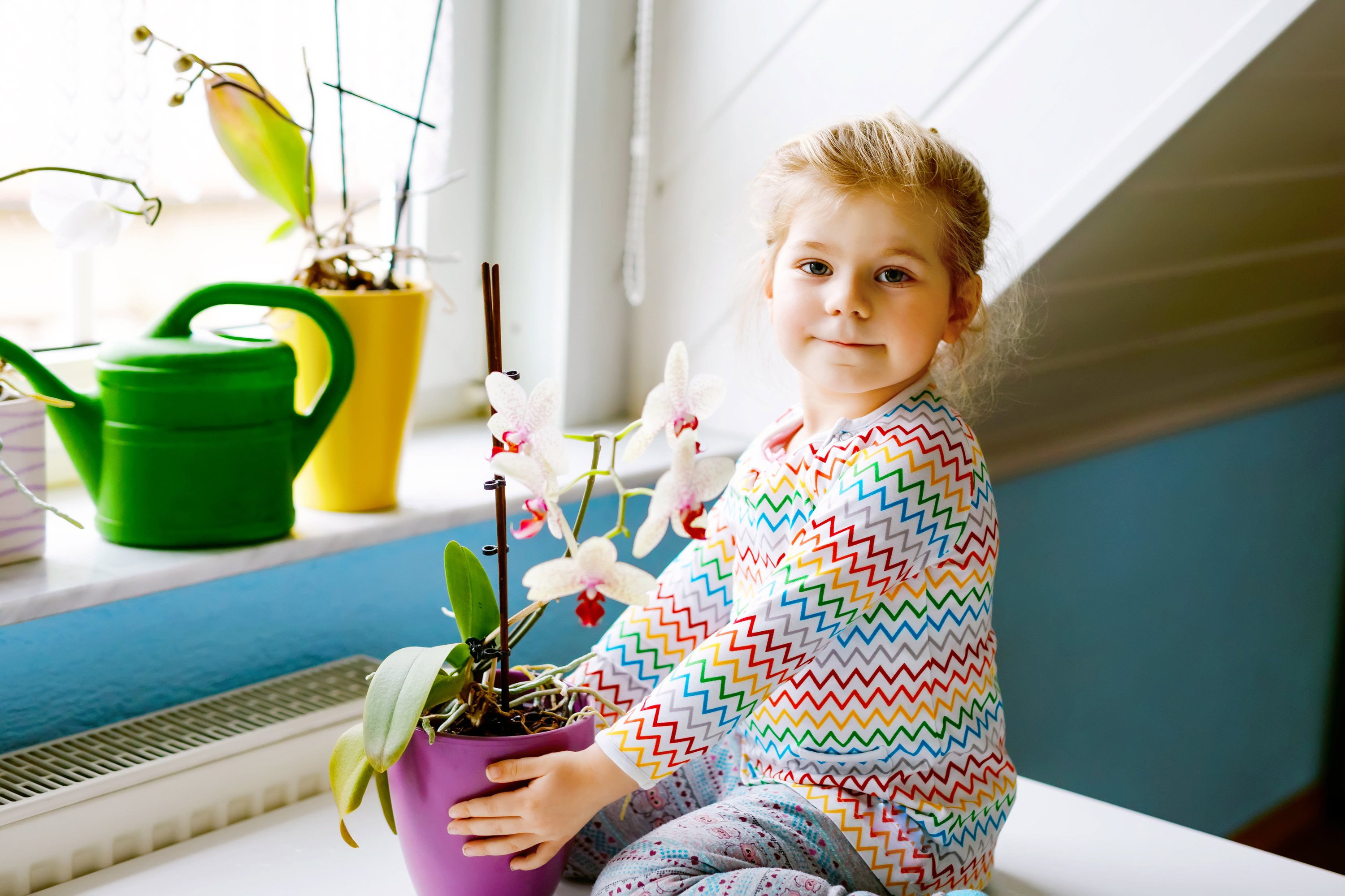 AdobeStock_419649342-min