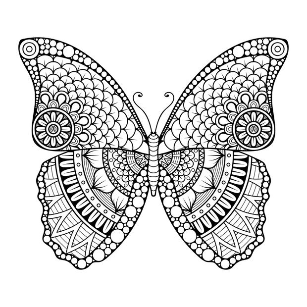 Vector abstract Butterfly