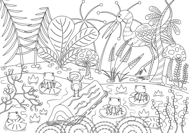 The Frogs Who Desired a King Colorless