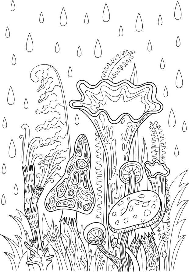 Forest mushrooms under rain coloring page. Outline illustration