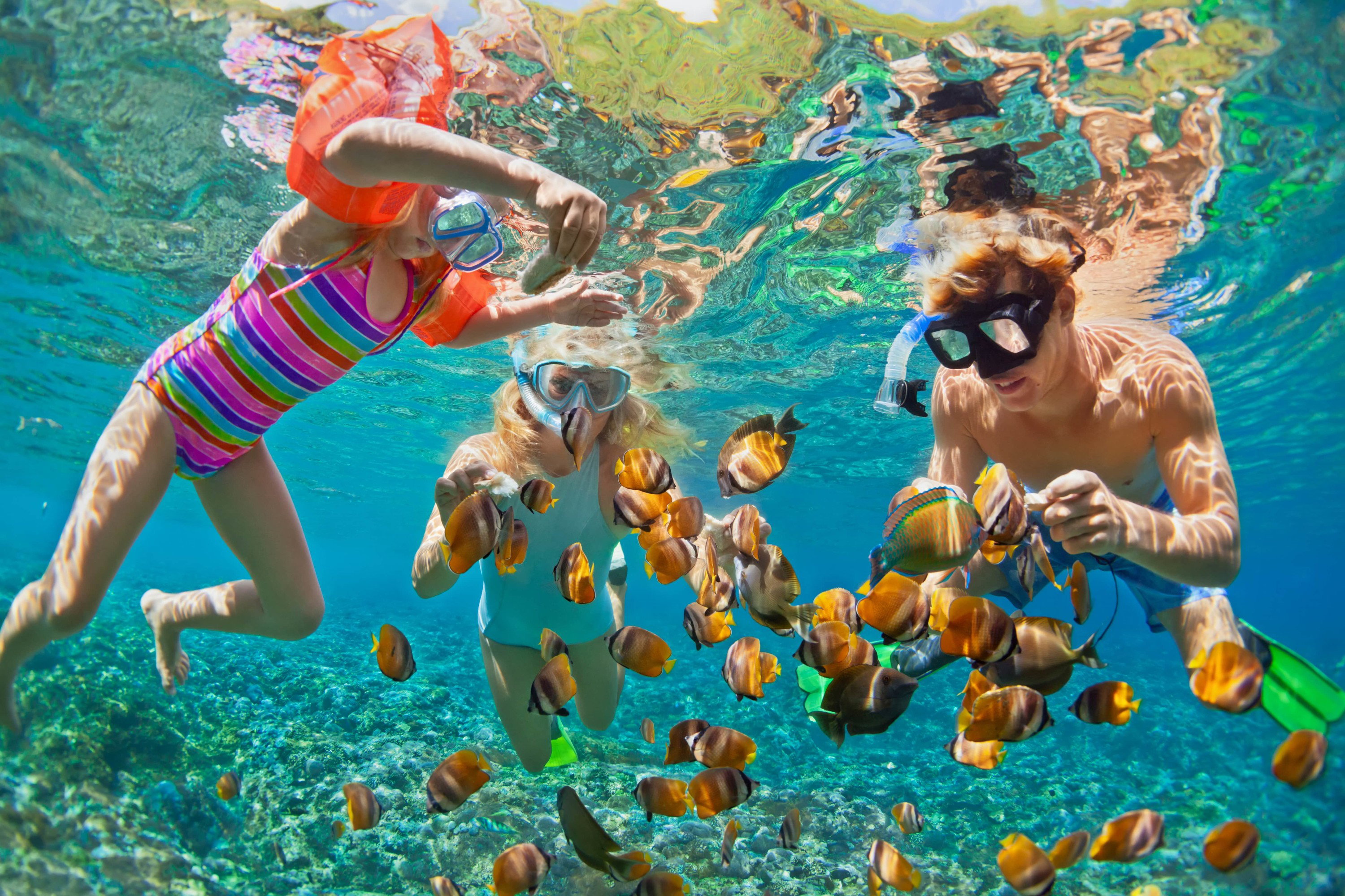 AdobeStock_167715609-min