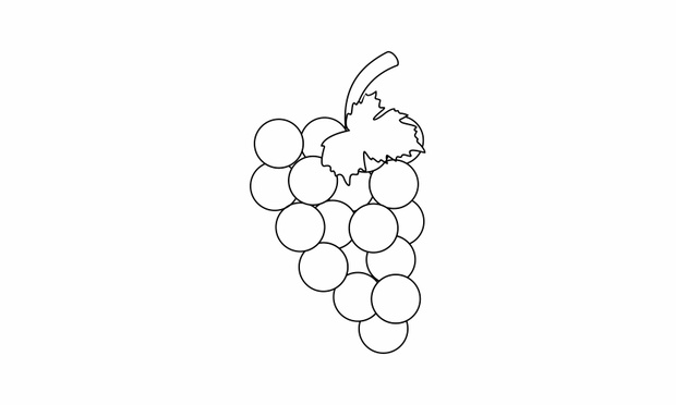 grape coloring book fruit to educate kids. Learn colors pages