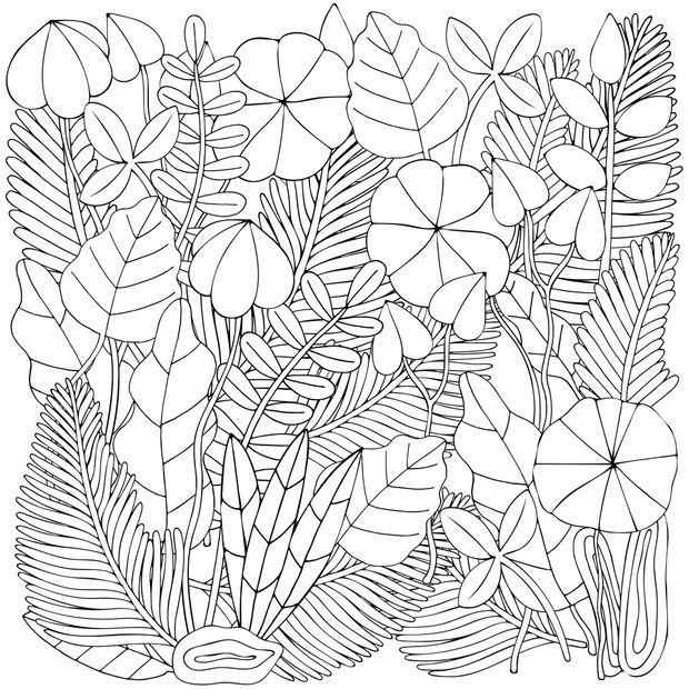 Floral doodle background pattern in vector with leaves. Black and white Coloring book. Monochrome.