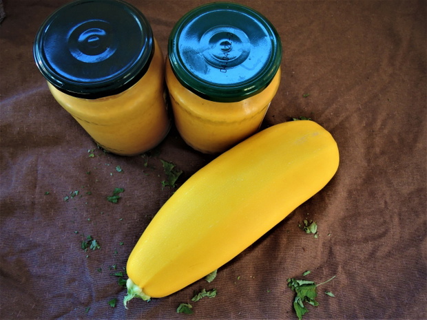 Vegetarianism. A yellow squash and two cans of squash caviar are