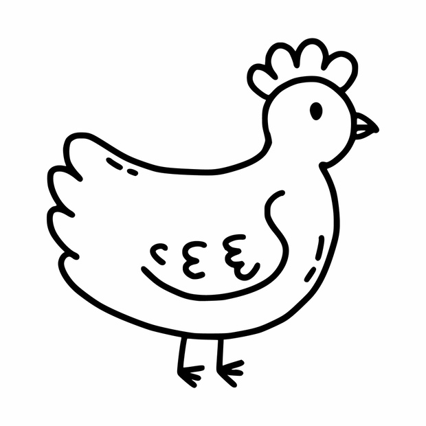 Chicken. Vector doodle illustration. Coloring book for children
