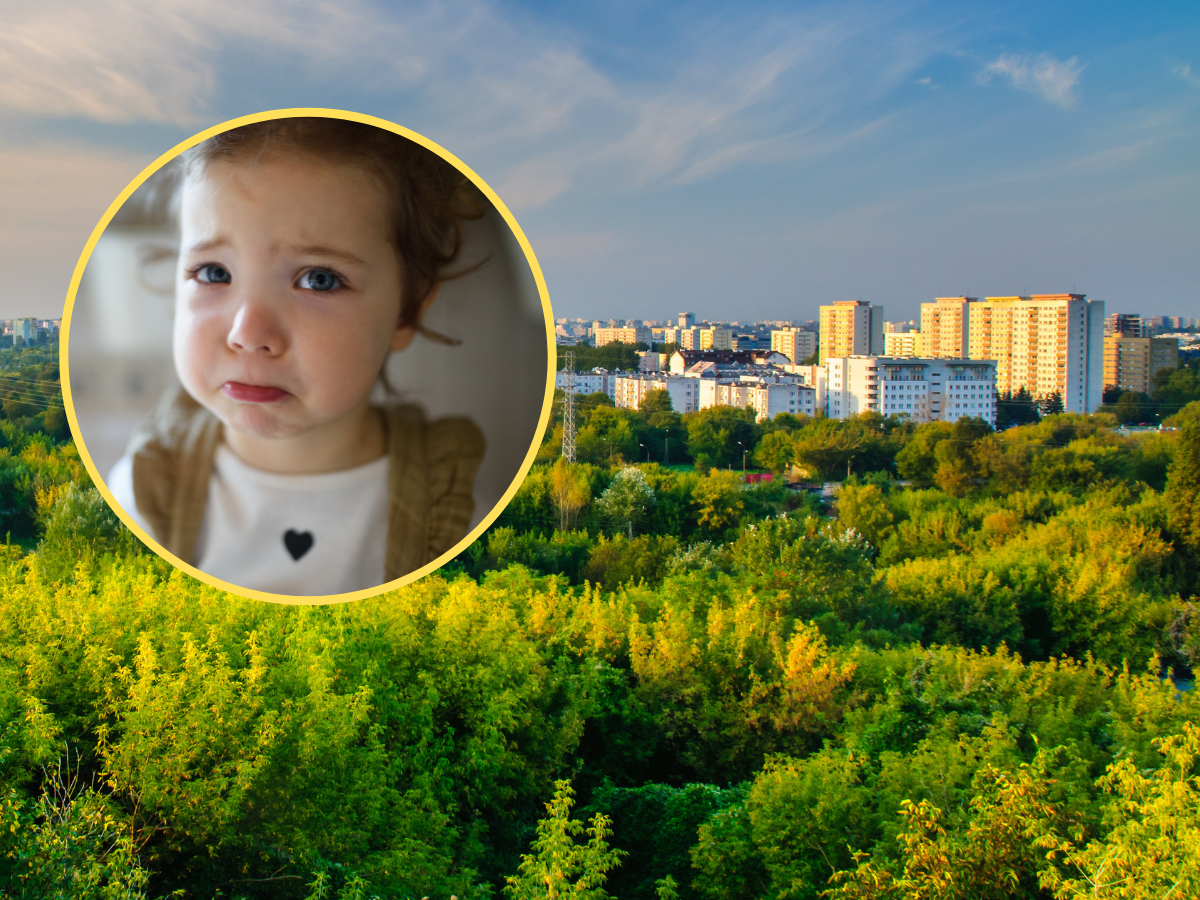 zdjęcie główne na MTJ (19)