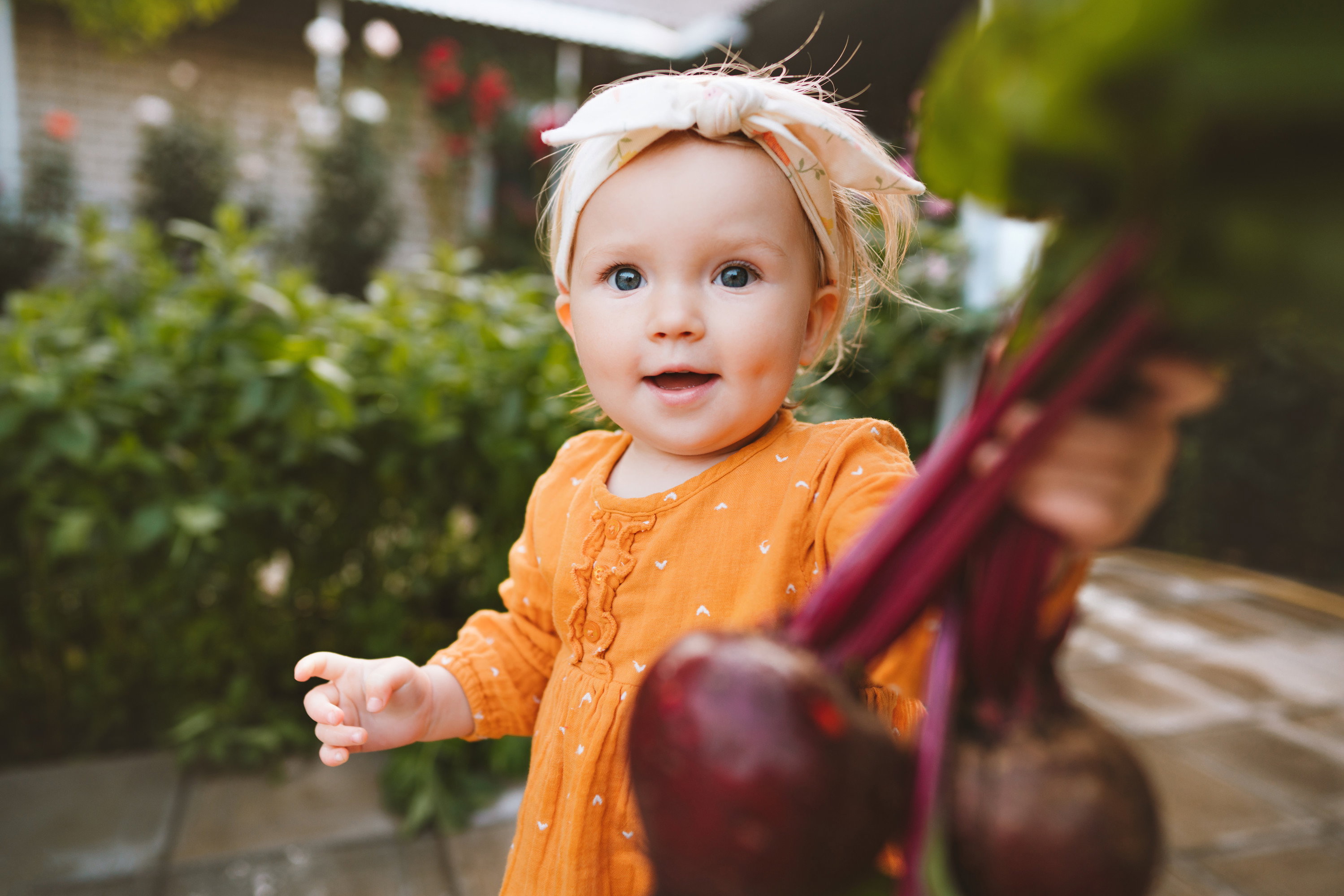 AdobeStock_355185726