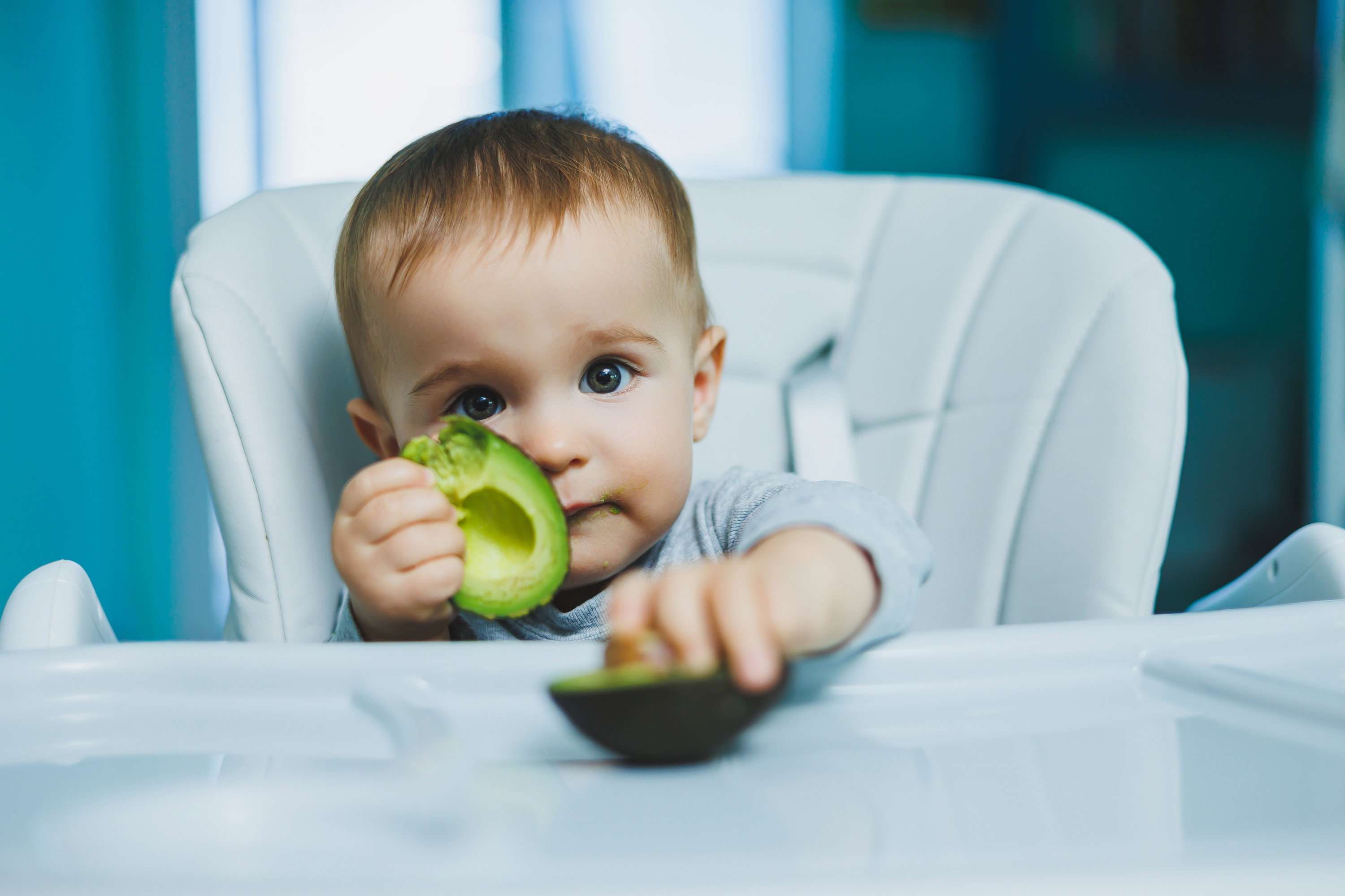 AdobeStock_543468879