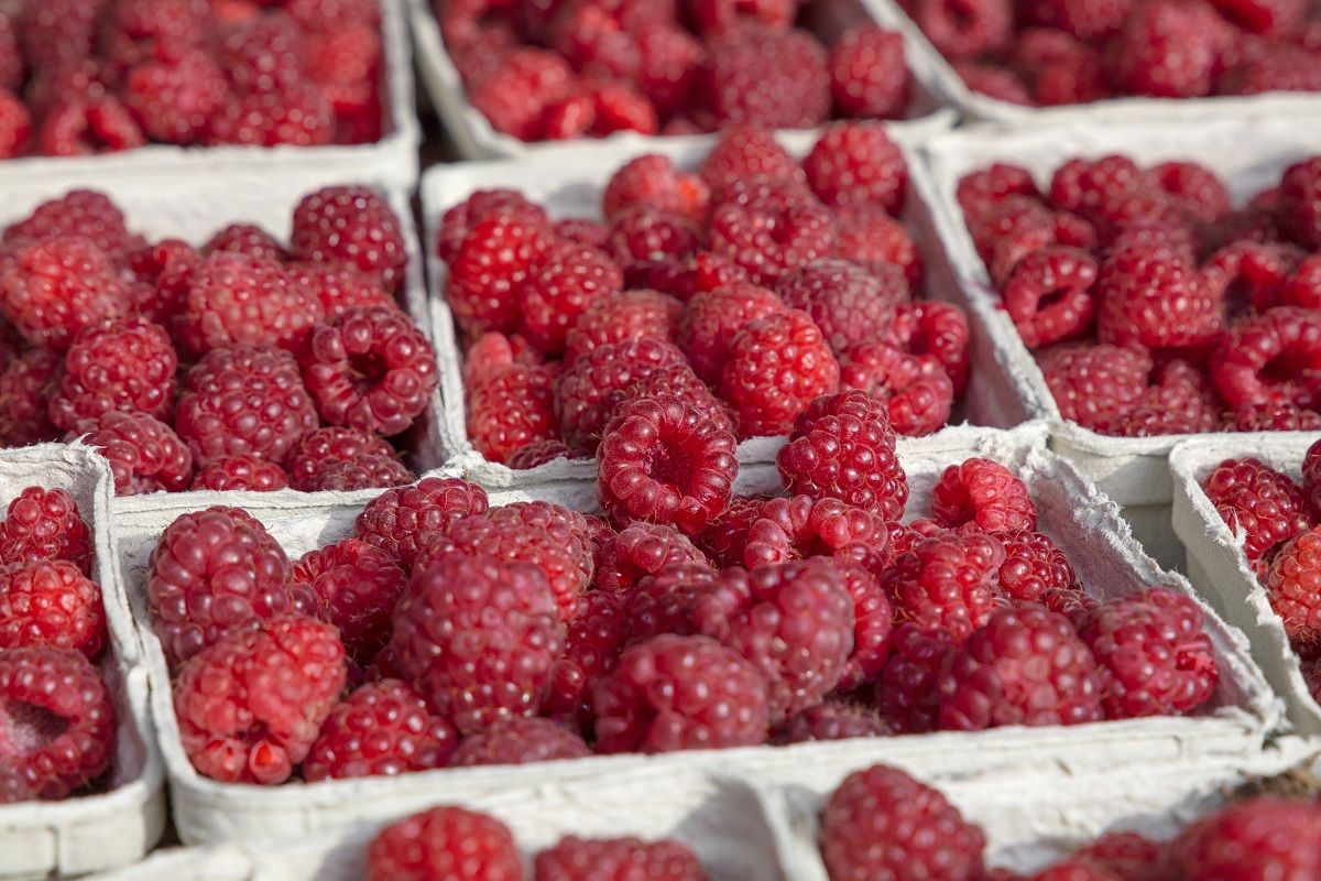 czy maliny się myje