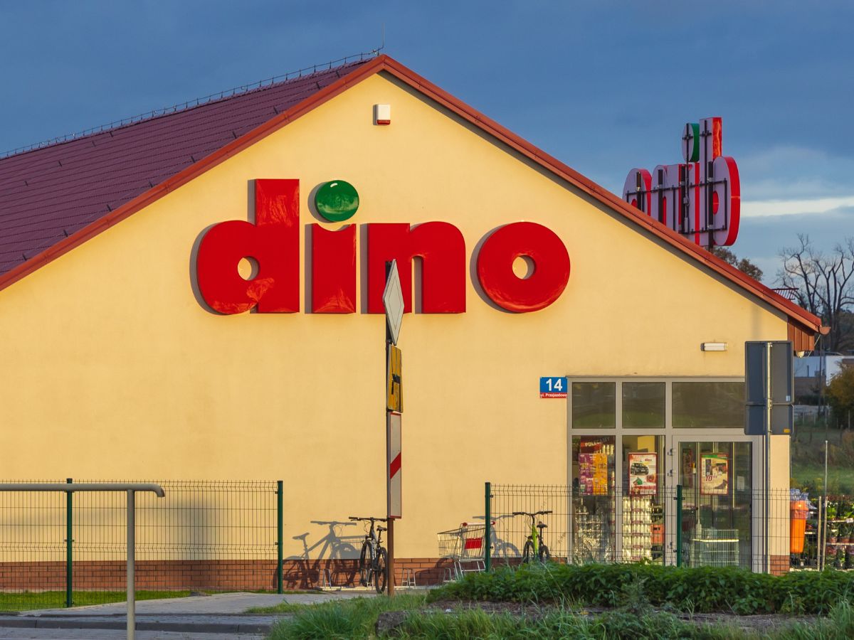 plecaki z Dino