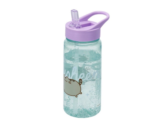 Pusheen, bidon z Lidla