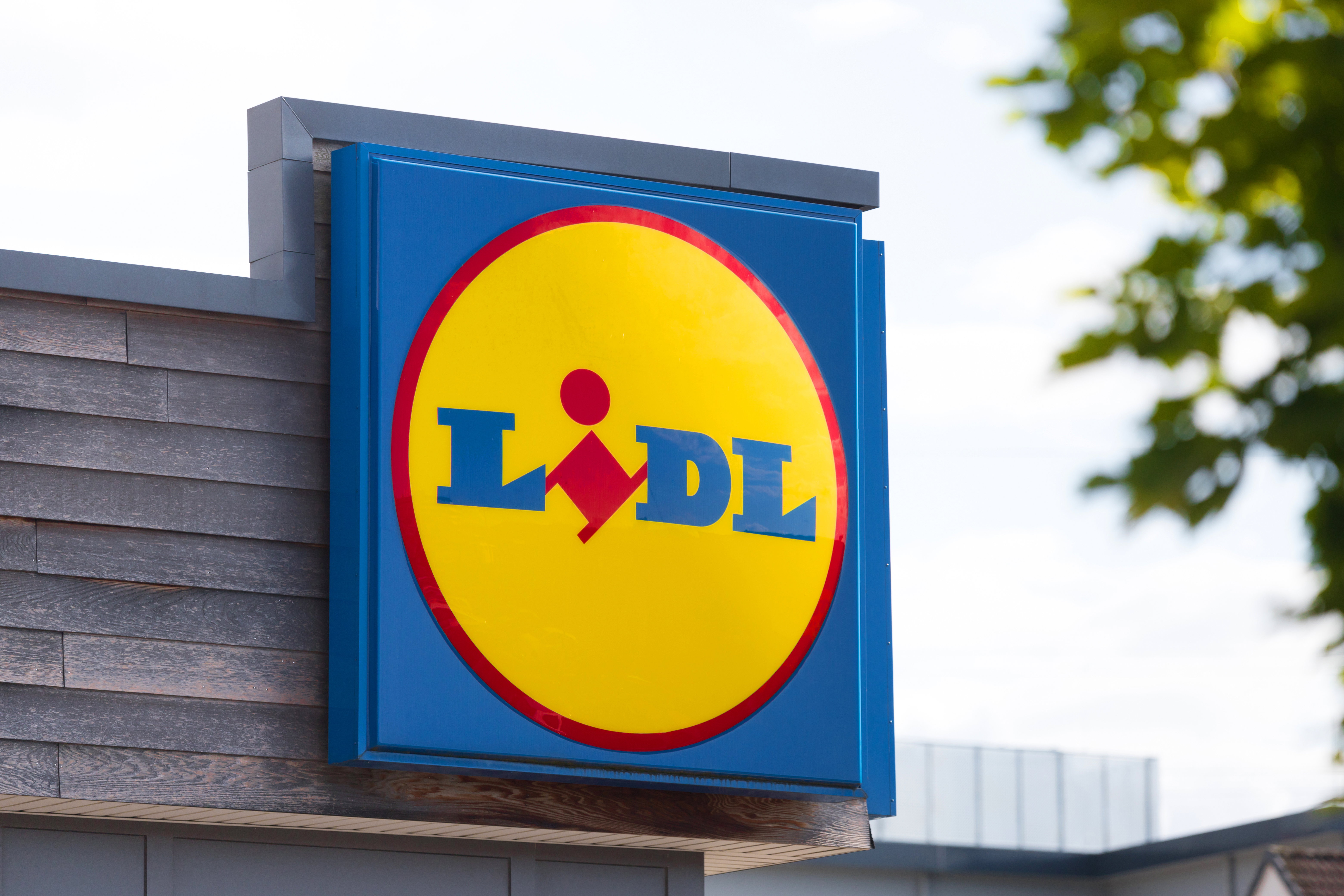 Promocje w Lidlu
