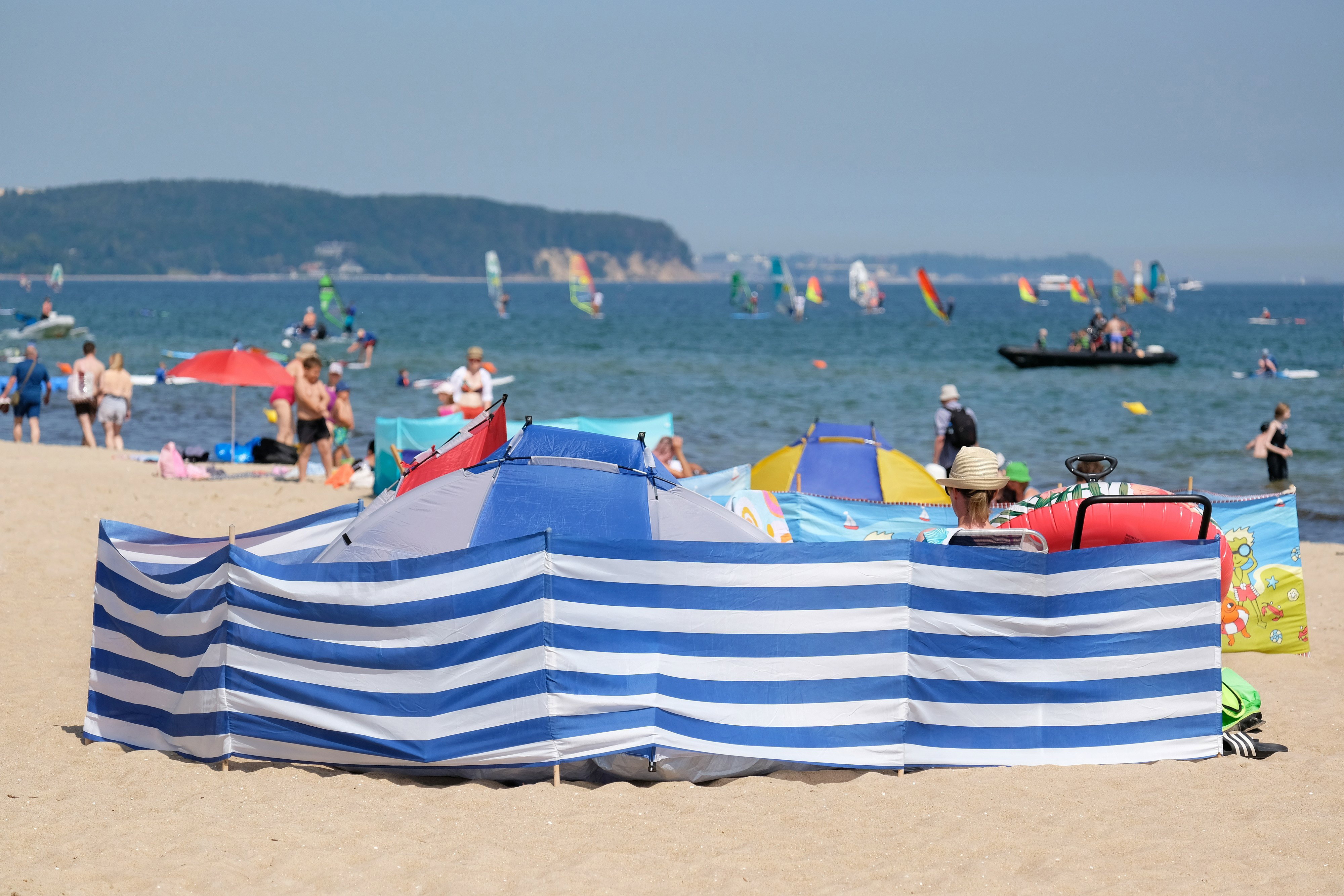 pokolenie ciamajd