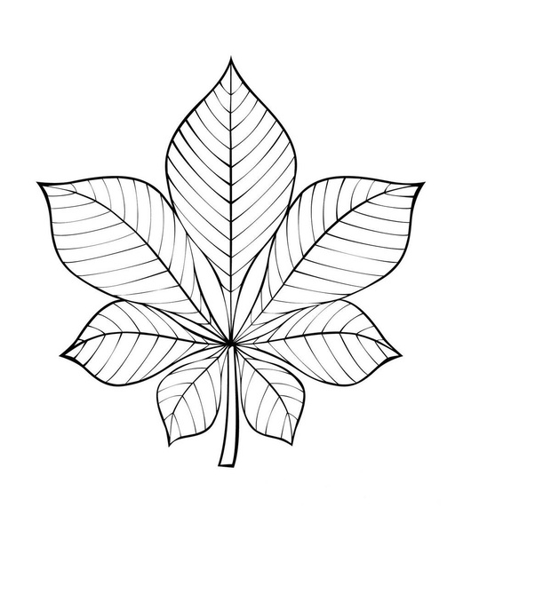 maTFe7-120266-8c37a84
