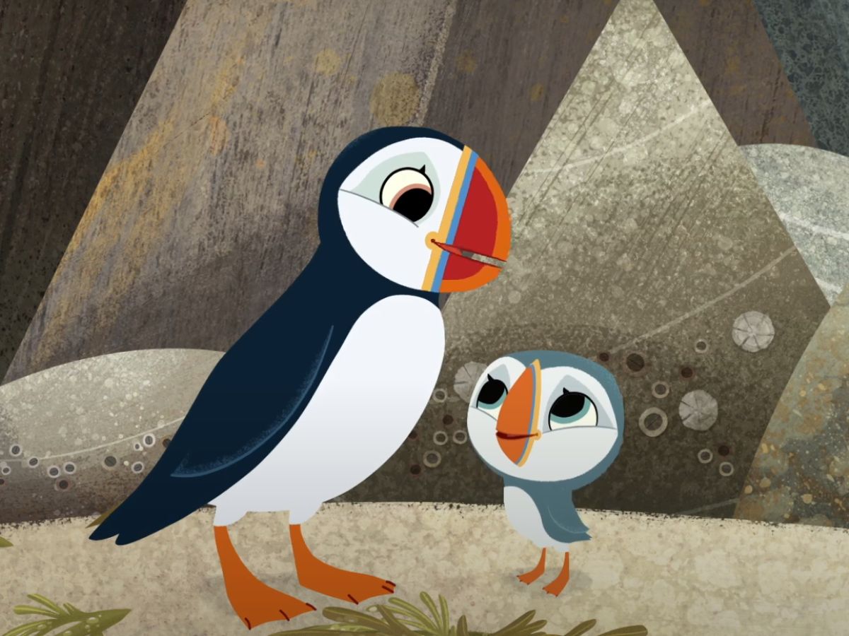 Puffin Rock