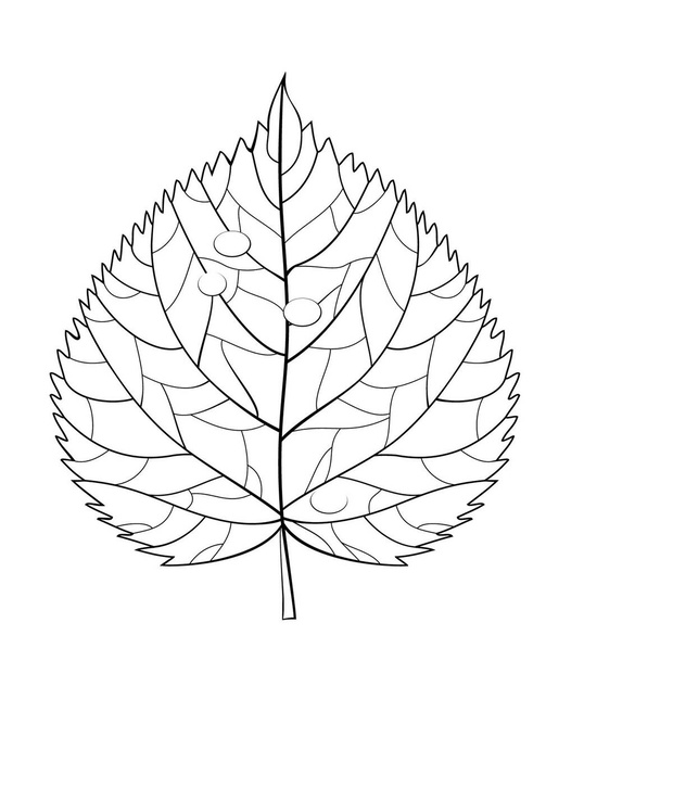 f5MHE7-120268-0ecaa13