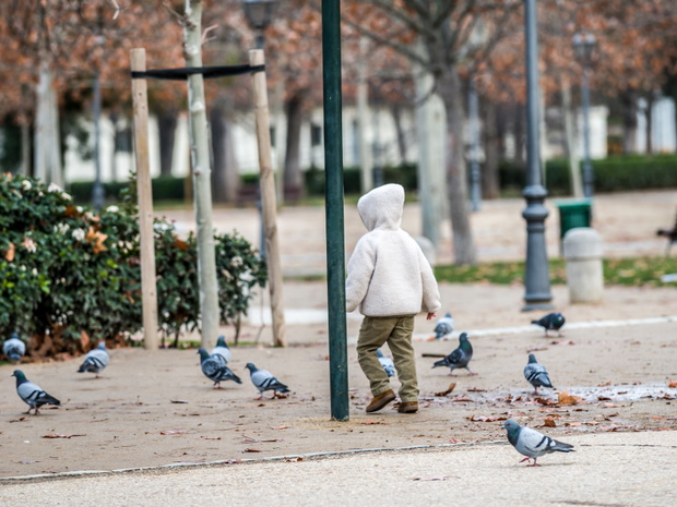 małe dziecko w parku i gołębie