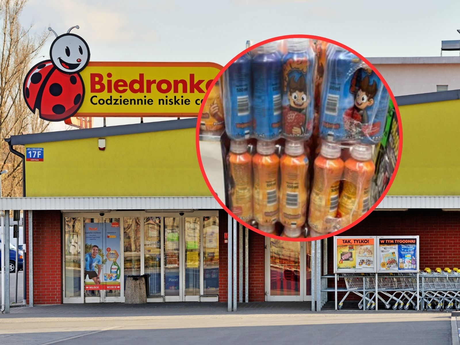 wojanki w żabce i biedronce