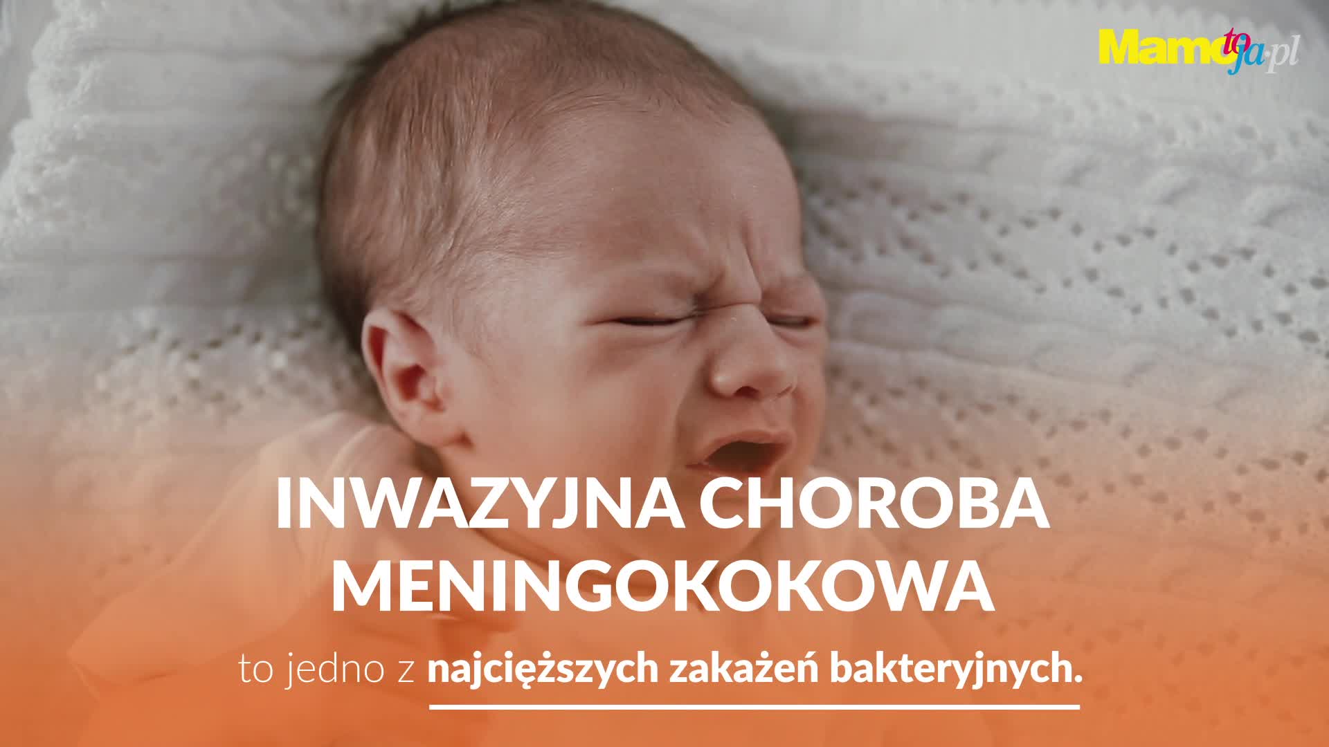Nawet co piąta osoba zakażona bakterią meningokoka może umrzeć. Jak się chronić?
