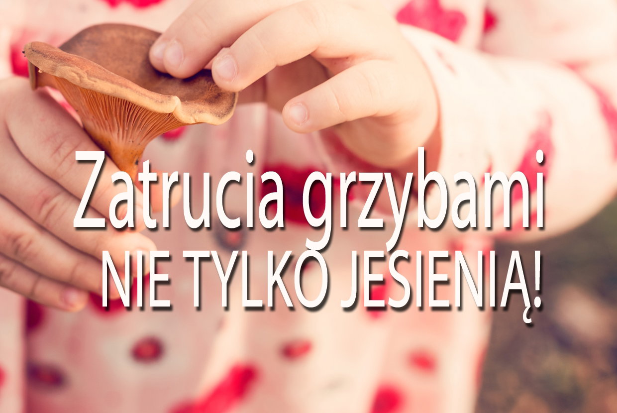 Zatrucia grzybami