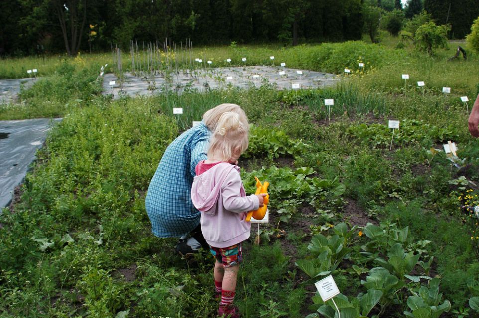 ogród botaniczny