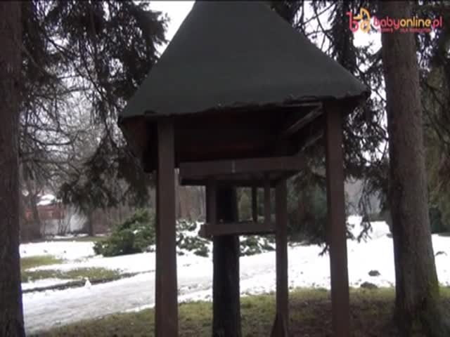 Karmnik dla ptaków – dokarmianie ptaków zimą