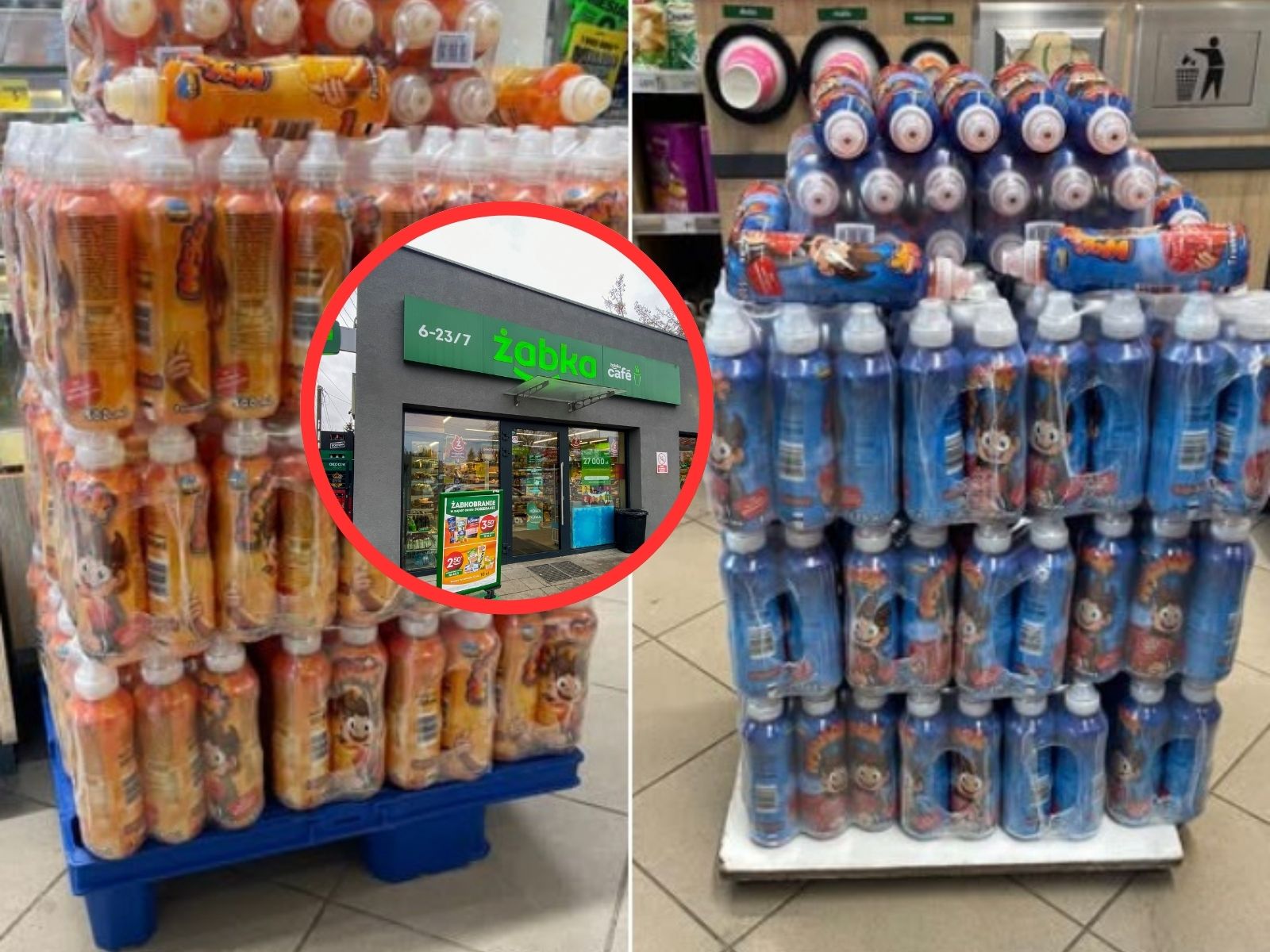 wojanki w żabce