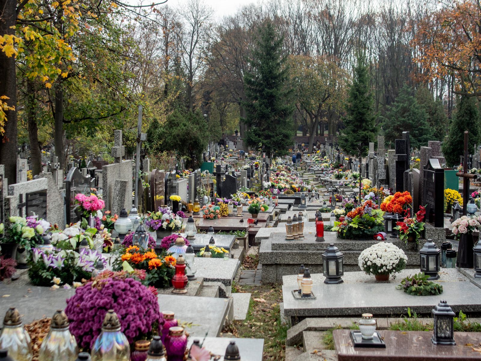 cmentarz we Wszystkich Świętych