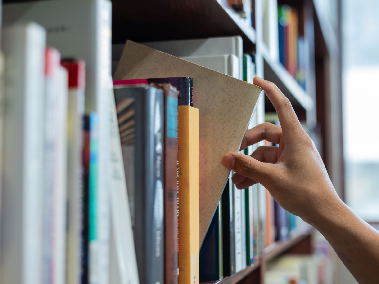 Biblioteka