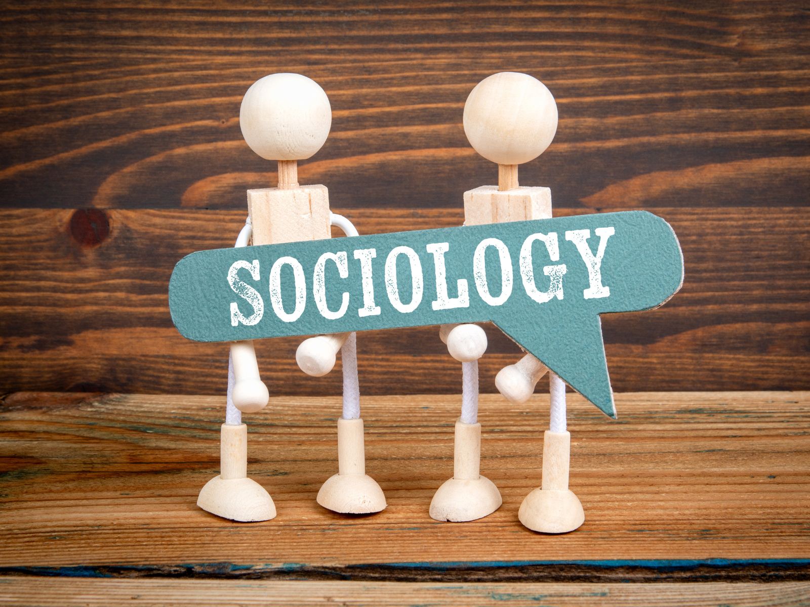 Napis socjologia