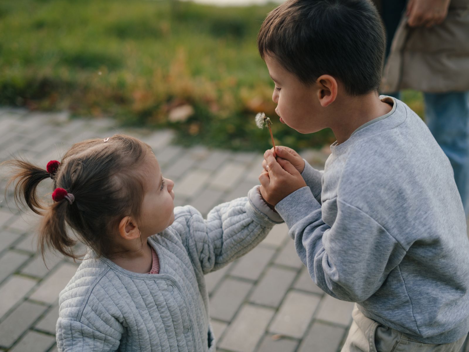 dzieci wychowywane w duchu Montessori