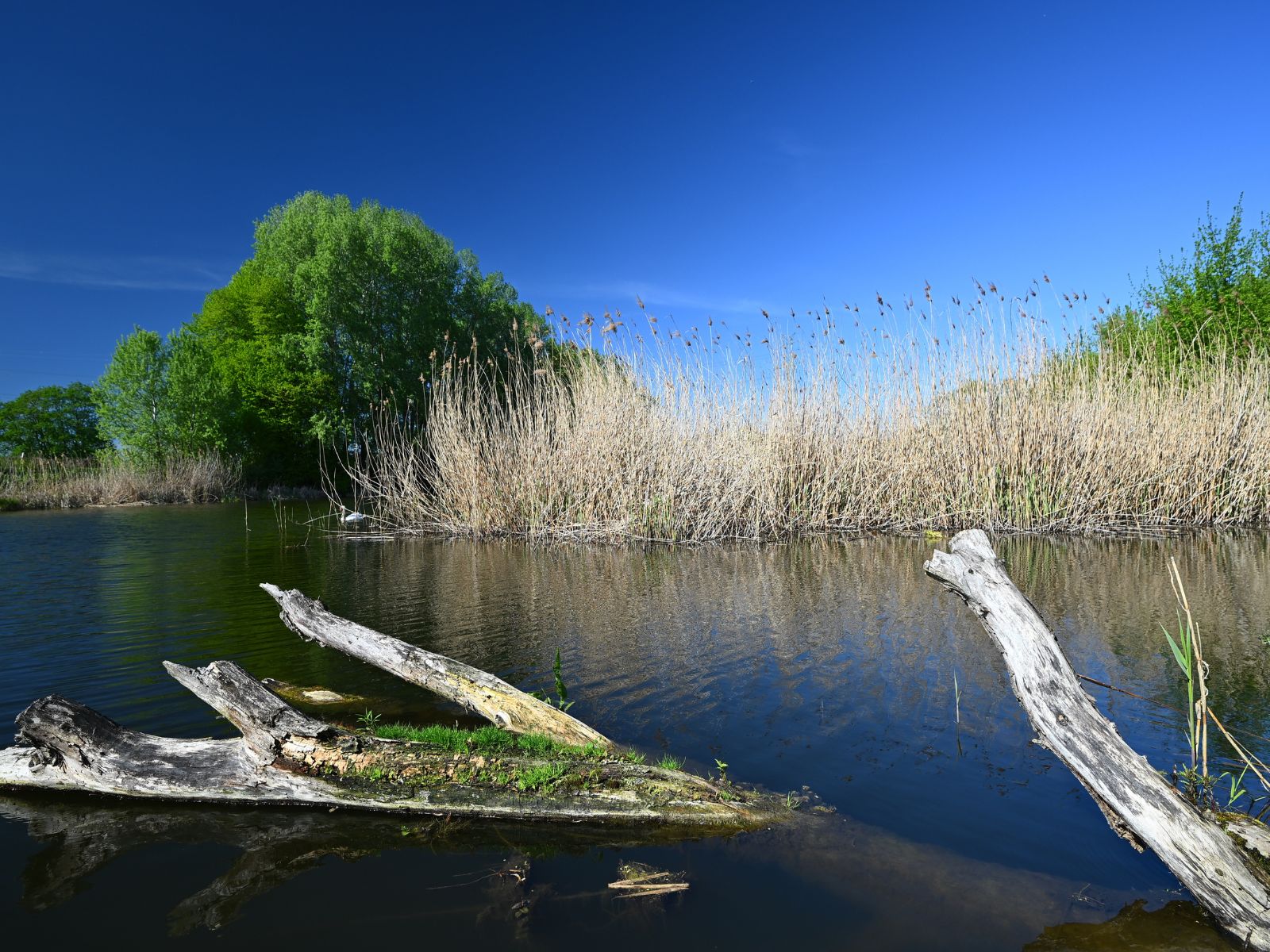 Rzeka w Polsce