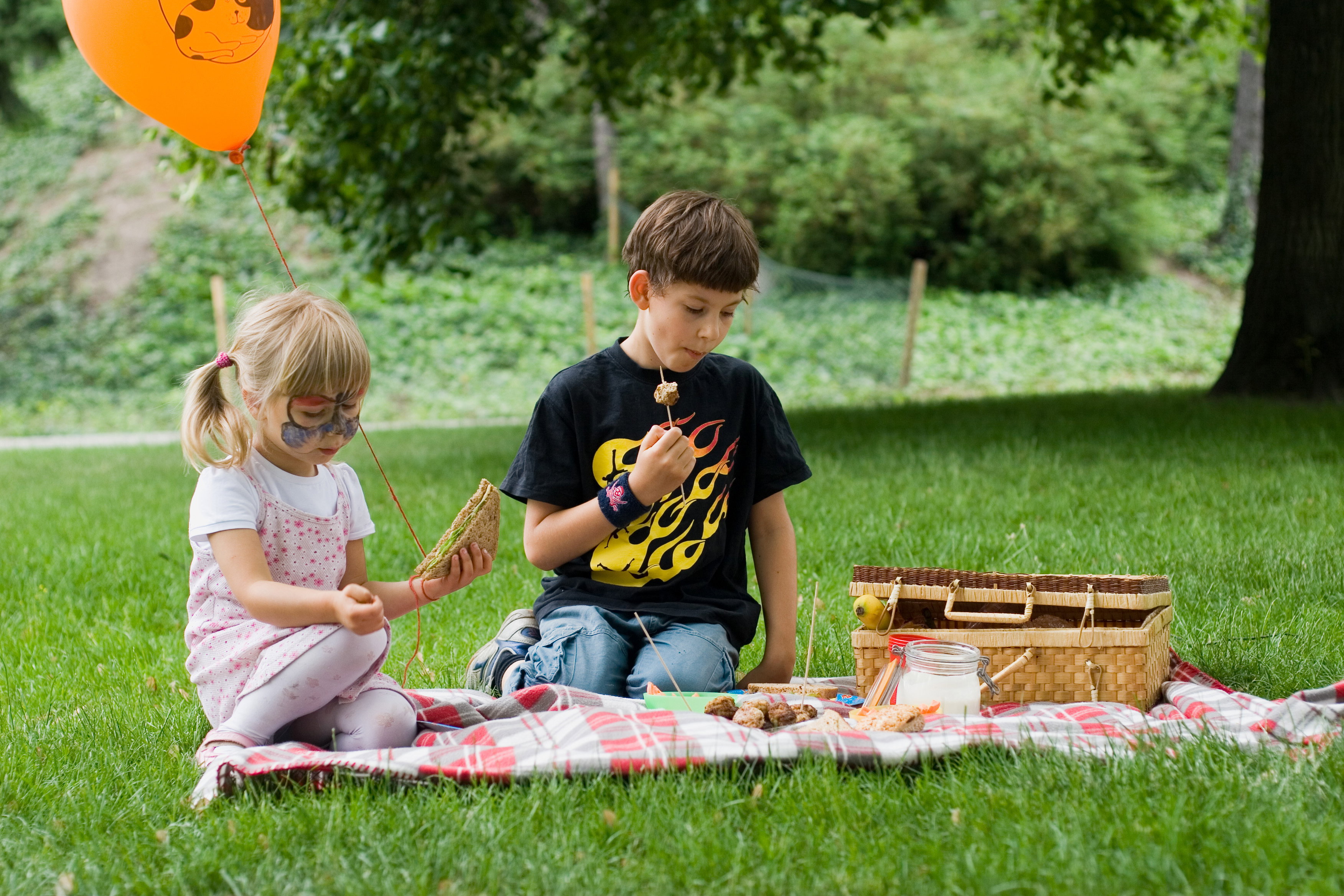 picnic kids