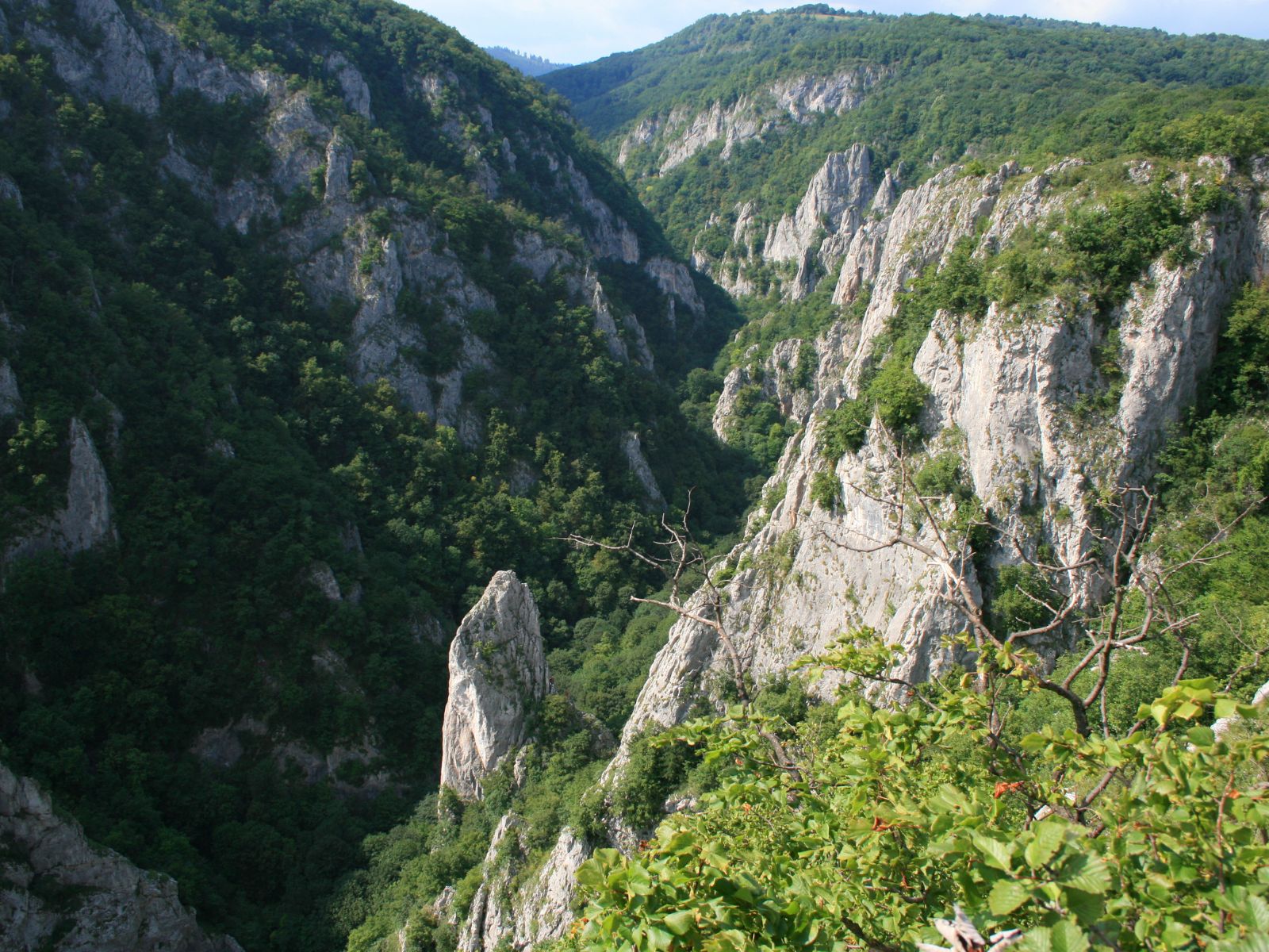 góry i lasy