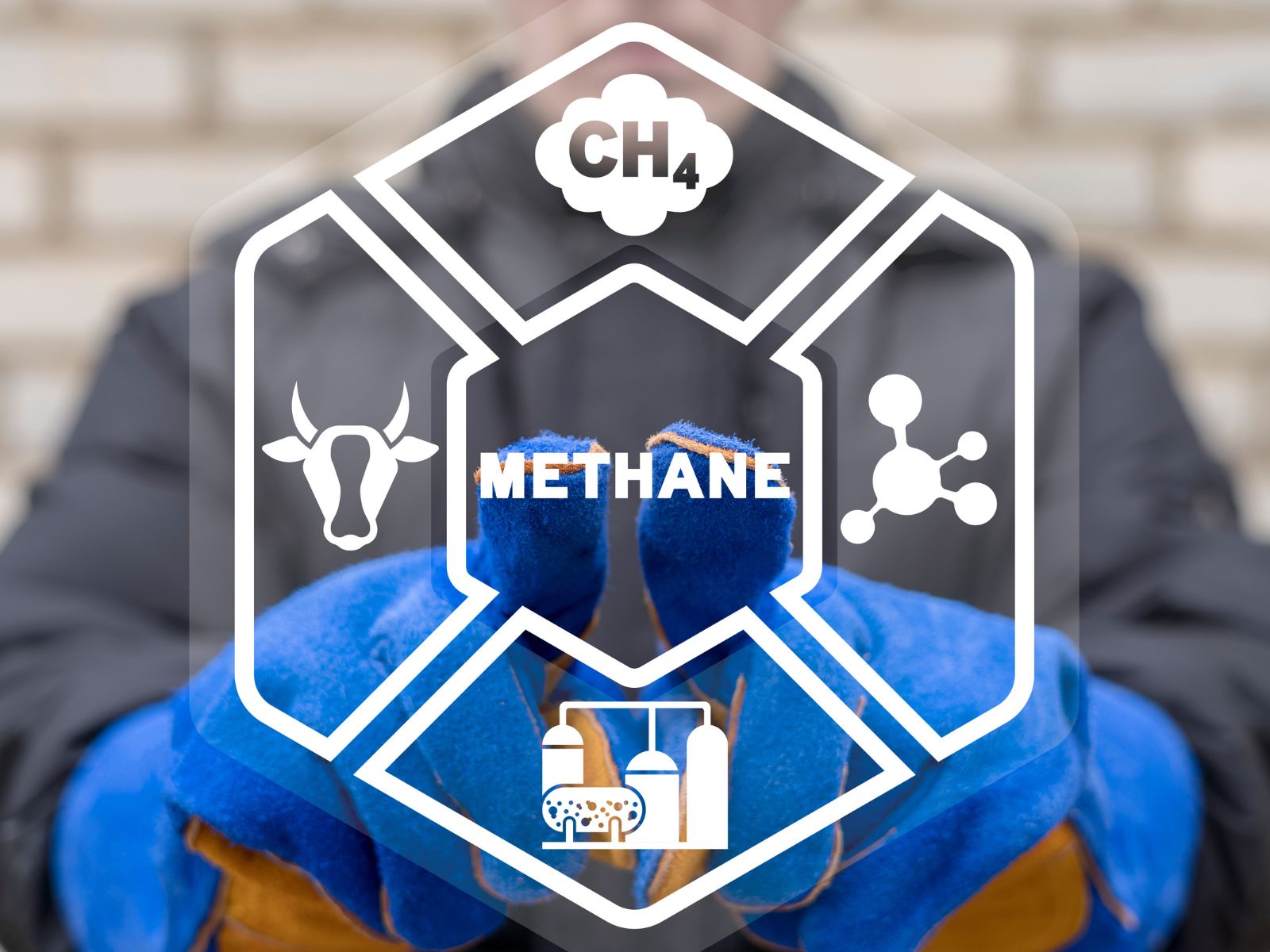 metan , etan-butan