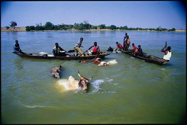 NGM_23_Niger_08