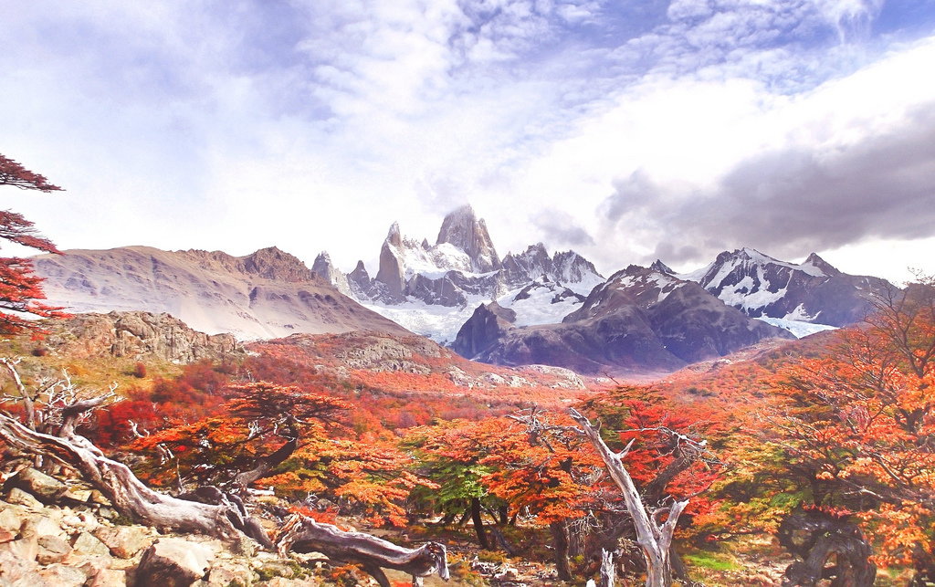 Patagonia